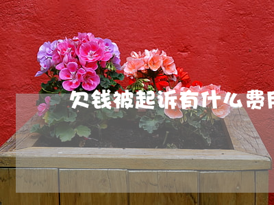 欠钱被起诉有什么费用
