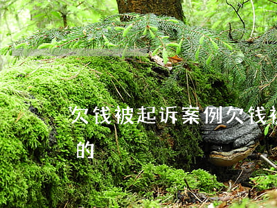 欠钱被起诉案例(欠钱被起诉的流程是什么样的)