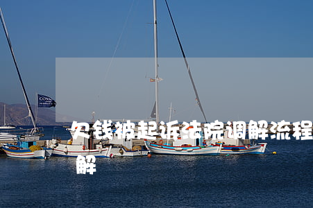 欠钱被起诉法院调解流程（欠钱被起诉法院调解）