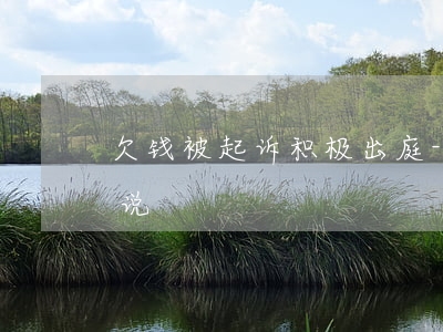 欠钱被起诉积极出庭-欠钱被起诉上庭怎么说