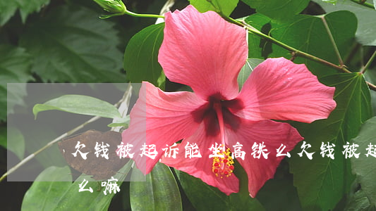 欠钱被起诉能坐高铁么(欠钱被起诉能坐高铁么嘛)