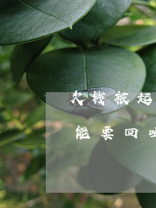 欠钱被起诉能转让吗(欠钱起诉之后转移资产能要回吗)
