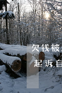 欠钱被起诉自己理亏不出庭可以吗-欠钱被起诉自己理亏不出庭可以吗怎么办