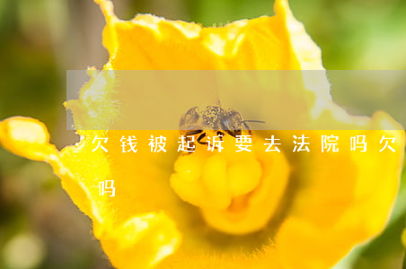 欠钱被起诉要去法院吗（欠钱起诉了要去开庭吗）