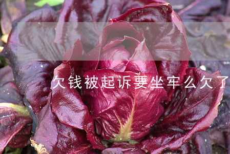 欠钱被起诉要坐牢么(欠了钱被起诉会判几年)
