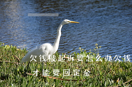欠钱被起诉要怎么办(欠钱被起诉怎么办?怎么才能要回定金?)