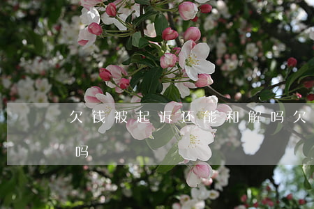欠钱被起诉还能和解吗 欠钱被起诉可以上诉吗