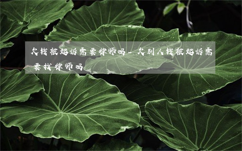 欠钱被起诉需要律师吗-欠别人钱被起诉需要找律师吗