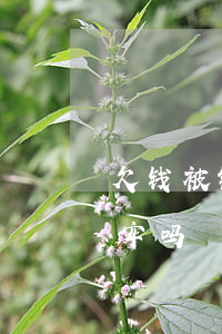 欠钱被银行起诉会怎样(欠钱被银行起诉会坐牢吗)