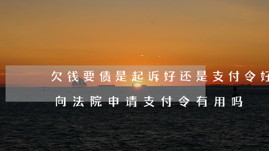 欠钱要债是起诉好还是支付令好-欠钱不还向法院申请支付令有用吗