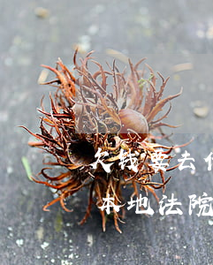 欠钱要去借钱当地起诉(借钱不还起诉需要到本地法院起诉吗)