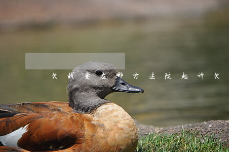 欠钱要在哪方法院起诉 欠款要在哪里起诉