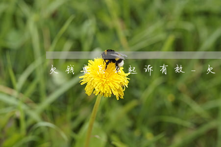 欠钱要怎么起诉有效-欠钱怎么向法院起诉