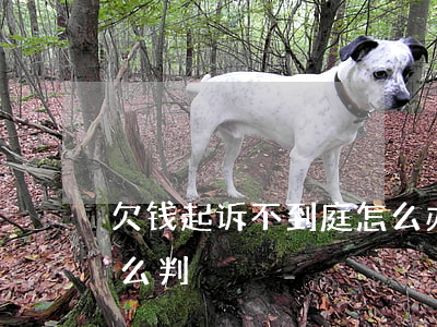 欠钱起诉不到庭怎么办(欠钱起诉不去法院怎么判)