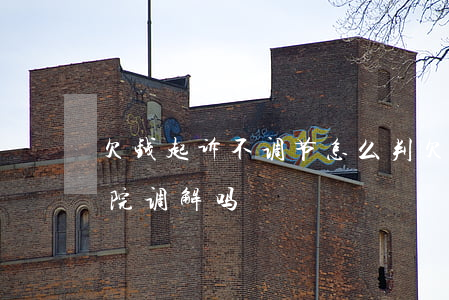 欠钱起诉不调节怎么判(欠钱不起诉能要求法院调解吗)