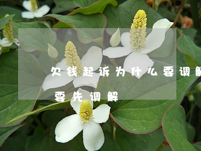 欠钱起诉为什么要调解(债务纠纷起诉为什么要先调解)