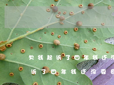 欠钱起诉了四年钱还没要回来咋办-欠钱起诉了四年钱还没要回来咋办呢