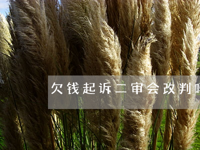 欠钱起诉二审会改判吗(欠钱被二次起诉)