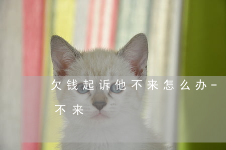 欠钱起诉他不来怎么办-欠钱不还起诉对方不来