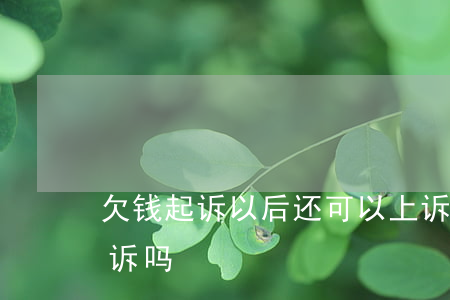 欠钱起诉以后还可以上诉吗(欠钱起诉后能撤诉吗)