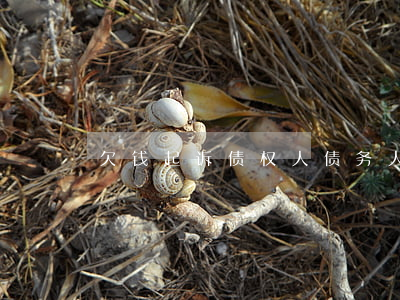 欠钱起诉债权人(债务人起诉债权人)