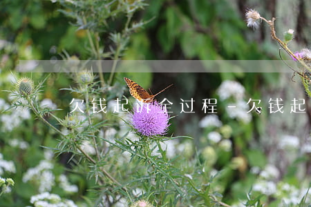 欠钱起诉全过程-欠钱起诉过程大概多久