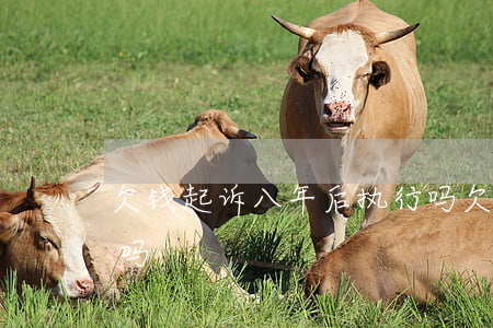 欠钱起诉八年后执行吗(欠钱起诉八年后执行吗)
