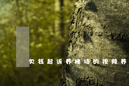 欠钱起诉养猪场的视频(养猪场赔钱)