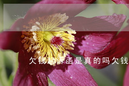 欠钱起诉函是真的吗(欠钱起诉状子怎么写)