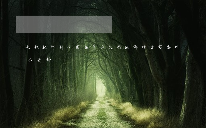 欠钱起诉别人需要什么(欠钱起诉对方需要什么资料)