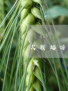 欠钱起诉到完结多久 欠钱起诉到完结多久立案
