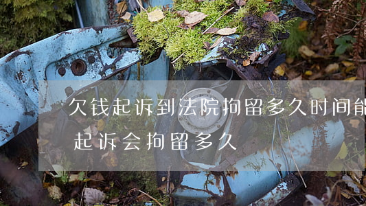 欠钱起诉到法院,拘留多久时间能出来（欠钱被起诉会拘留多久）