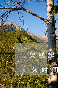 欠钱起诉到还钱要多久(起诉欠款到还款要多久时间)