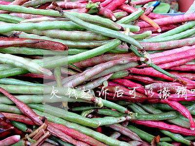 欠钱起诉后可以撤销吗