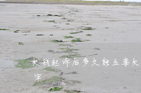 欠钱起诉后多久能立案(欠钱起诉后多久会坐牢)