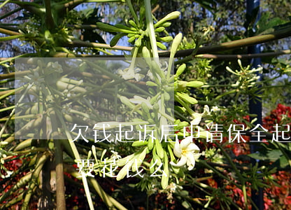 欠钱起诉后申请保全(起诉欠款人申请保全需要花钱么)