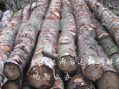 欠钱起诉后还能调解吗(欠钱起诉后还能调解吗怎么办)