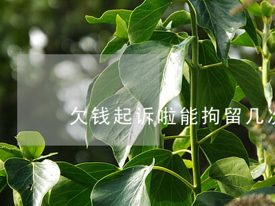 欠钱起诉啦能拘留几次(欠钱起诉能坐牢吗)