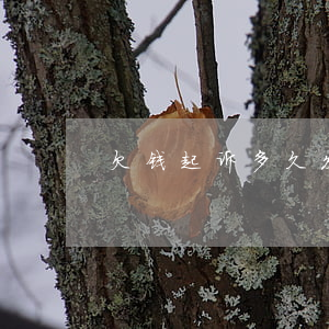 欠钱起诉多久发传票-欠钱起诉多久发传票