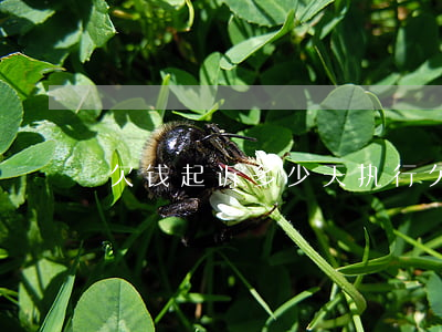 欠钱起诉多少天执行(欠款起诉后多久会强制?)