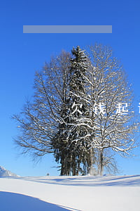 欠钱起诉委托人-欠款起诉委托书