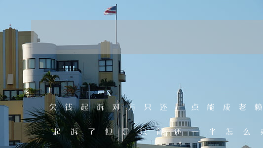 欠钱起诉对方只还一点能成老赖么-欠钱被起诉了,但是只能还一半怎么办