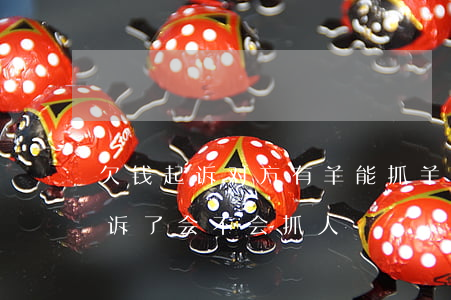 欠钱起诉对方有羊能抓羊吗一(欠别人钱被起诉了,会不会抓人)