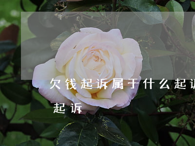 欠钱起诉属于什么起诉-欠钱起诉属于什么起诉