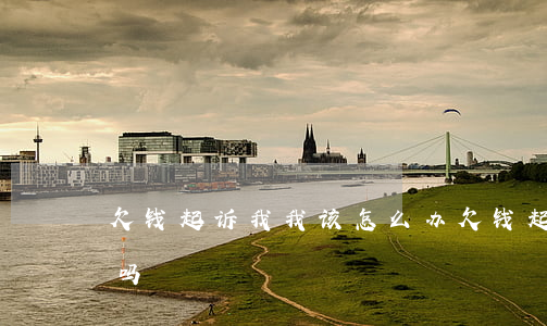 欠钱起诉我我该怎么办(欠钱起诉钱能要回来吗)