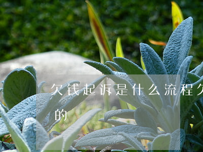 欠钱起诉是什么流程(欠款起诉流程是怎么样的)