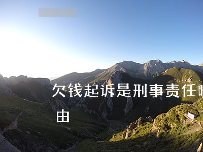 欠钱起诉是刑事责任吗(欠钱起诉属于什么案由)