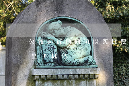 欠钱起诉期间可以买机票吗-欠钱被起诉能坐飞机吗