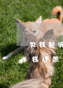 欠钱起诉没效果怎么办(请问欠款起诉还是没钱还怎么办)