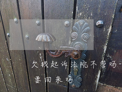 欠钱起诉法院不管吗-欠钱不还起诉法院能要回来吗